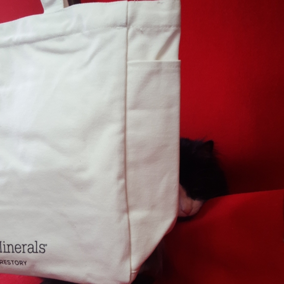 BareMinerals "what makes you feel beautiful tote" - Picture 6 of 6